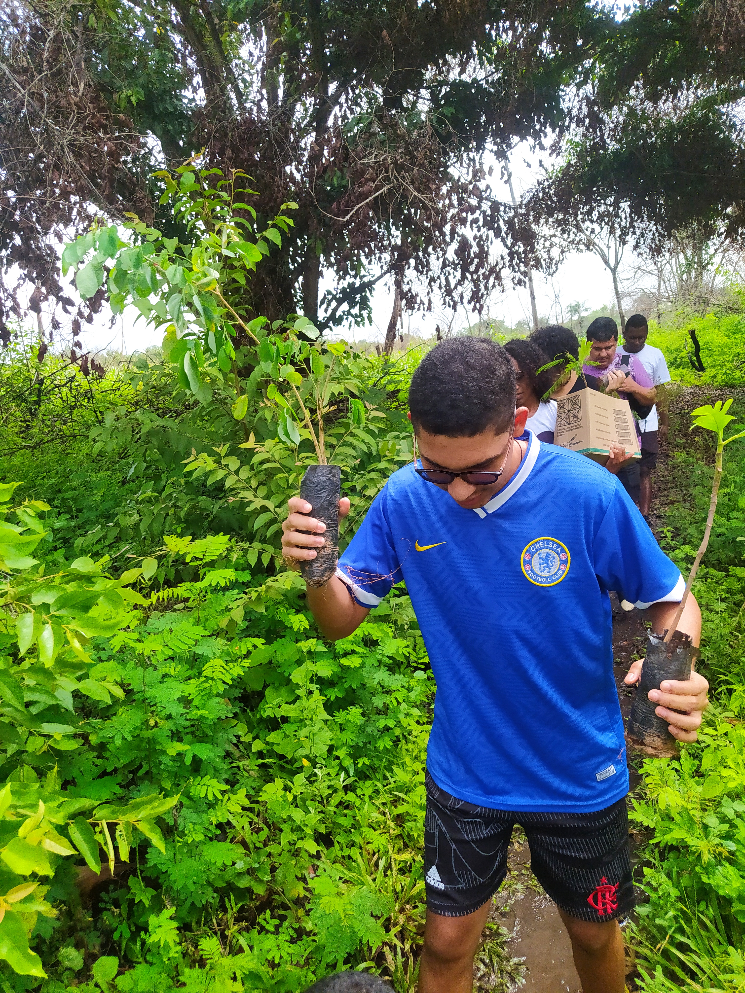 carrapatocultural.com 